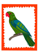 Load image into Gallery viewer, PARROT 3- ORIGINAL LIMITED EDITION FINE ART GICLEE PRINT