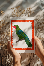 Load image into Gallery viewer, PARROT 3- ORIGINAL LIMITED EDITION FINE ART GICLEE PRINT