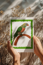 Load image into Gallery viewer, PARROT 1 - ORIGINAL LIMITED EDITION FINE ART GICLEE PRINT