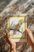 Load image into Gallery viewer, PARROT 4- ORIGINAL LIMITED EDITION FINE ART GICLEE PRINT