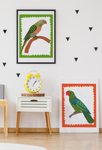 Load image into Gallery viewer, PARROT 3- ORIGINAL LIMITED EDITION FINE ART GICLEE PRINT