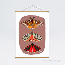 Load image into Gallery viewer, MOTHS Emperor Moth, Tiger Moth, Cinnabar Moth, Nature, Insects, Wall Art, Natural World, Art Print, Nature Poster