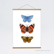 Load image into Gallery viewer, BUTTERFLY A3 Nature Art Print, Nature, Insects, Wall Art, Natural World, Art Print, Nature Poster