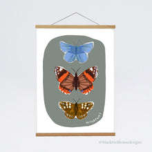 Load image into Gallery viewer, BUTTERFLY A3 Nature Art Print, Nature, Insects, Wall Art, Natural World, Art Print, Nature Poster