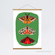 Load image into Gallery viewer, MOTHS Emperor Moth, Tiger Moth, Cinnabar Moth, Nature, Insects, Wall Art, Natural World, Art Print, Nature Poster