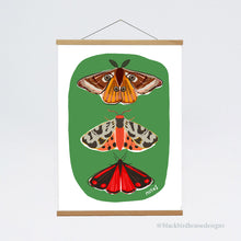 Load image into Gallery viewer, MOTHS Emperor Moth, Tiger Moth, Cinnabar Moth, Nature, Insects, Wall Art, Natural World, Art Print, Nature Poster