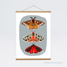 Load image into Gallery viewer, MOTHS Emperor Moth, Tiger Moth, Cinnabar Moth, Nature, Insects, Wall Art, Natural World, Art Print, Nature Poster
