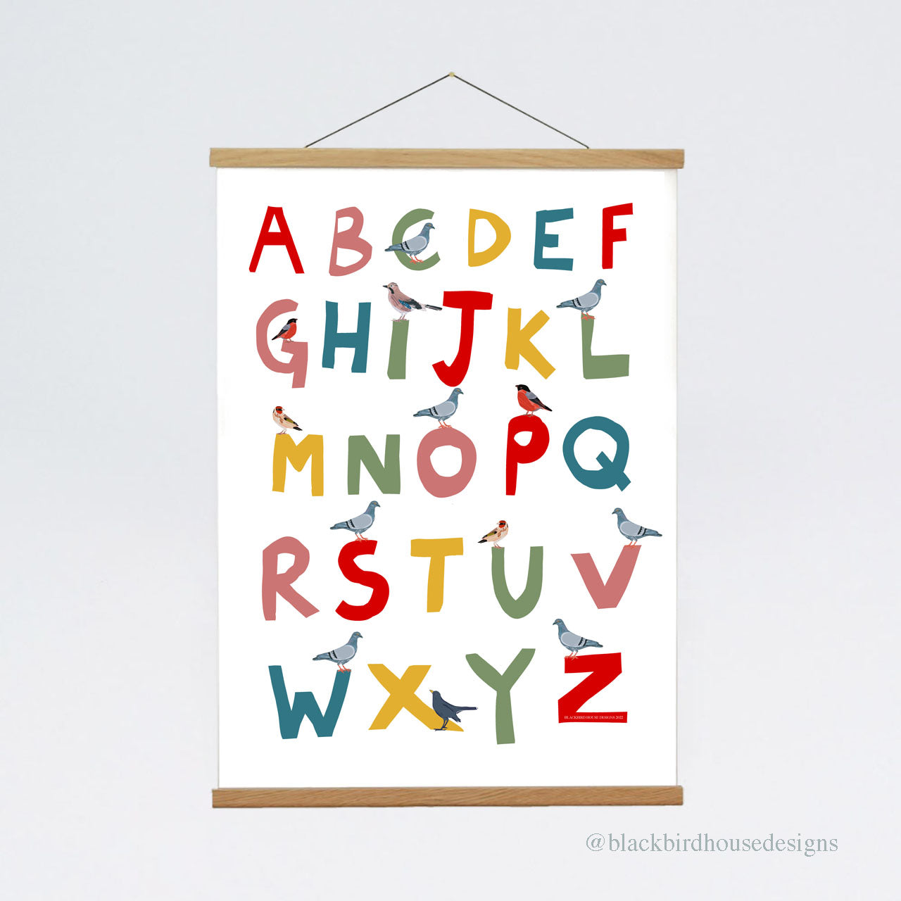 NEW Bird Alphabet Print