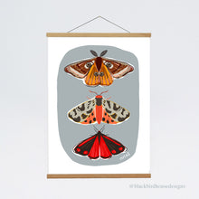 Load image into Gallery viewer, MOTHS Emperor Moth, Tiger Moth, Cinnabar Moth, Nature, Insects, Wall Art, Natural World, Art Print, Nature Poster