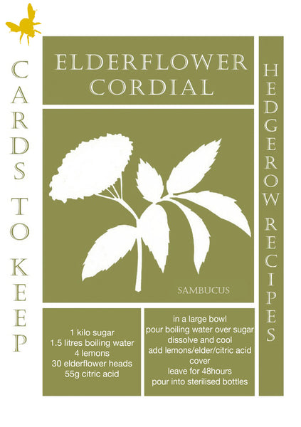 ELDERFLOWER CORDIAL