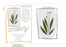 Load image into Gallery viewer, DOWNLOAD AND PRINT YOUR OWN RECIPE CARD - PLANTAIN PESTO
