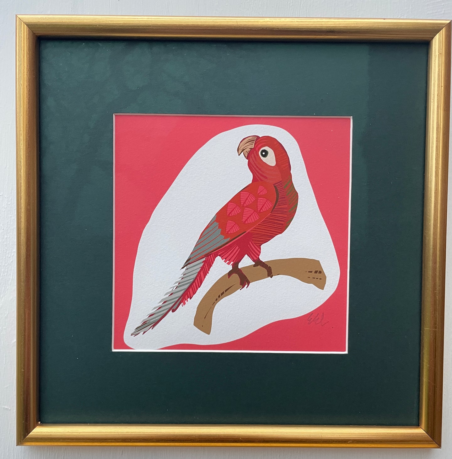 FRAMED PARROT in pink -  GICLEE PRINT