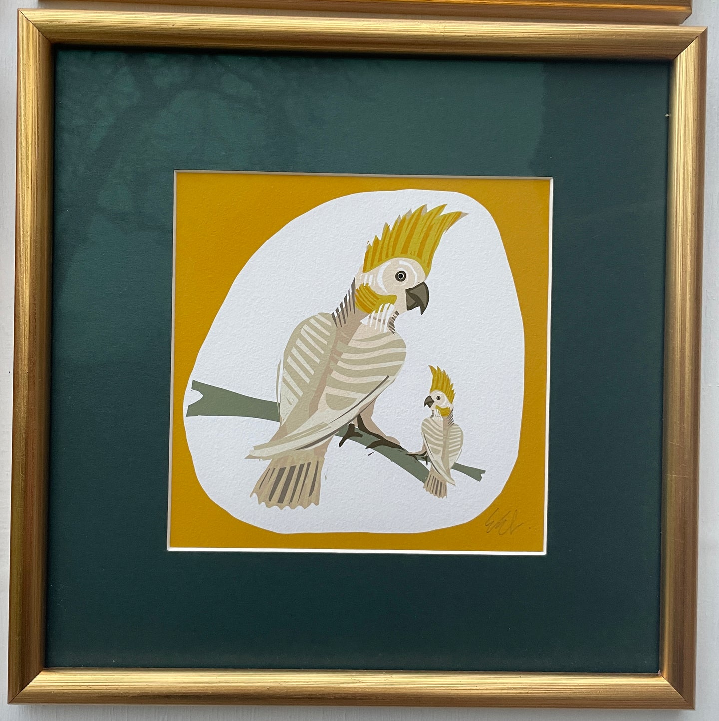 FRAMED PARROT in yellow -  GICLEE PRINT