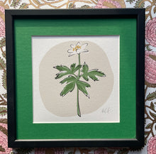 Load image into Gallery viewer, WOOD ANEMONE - FRAMED GICLEE PRINT

