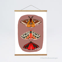 Load image into Gallery viewer, MOTHS Emperor Moth, Tiger Moth, Cinnabar Moth, Nature, Insects, Wall Art, Natural World, Art Print, Nature Poster
