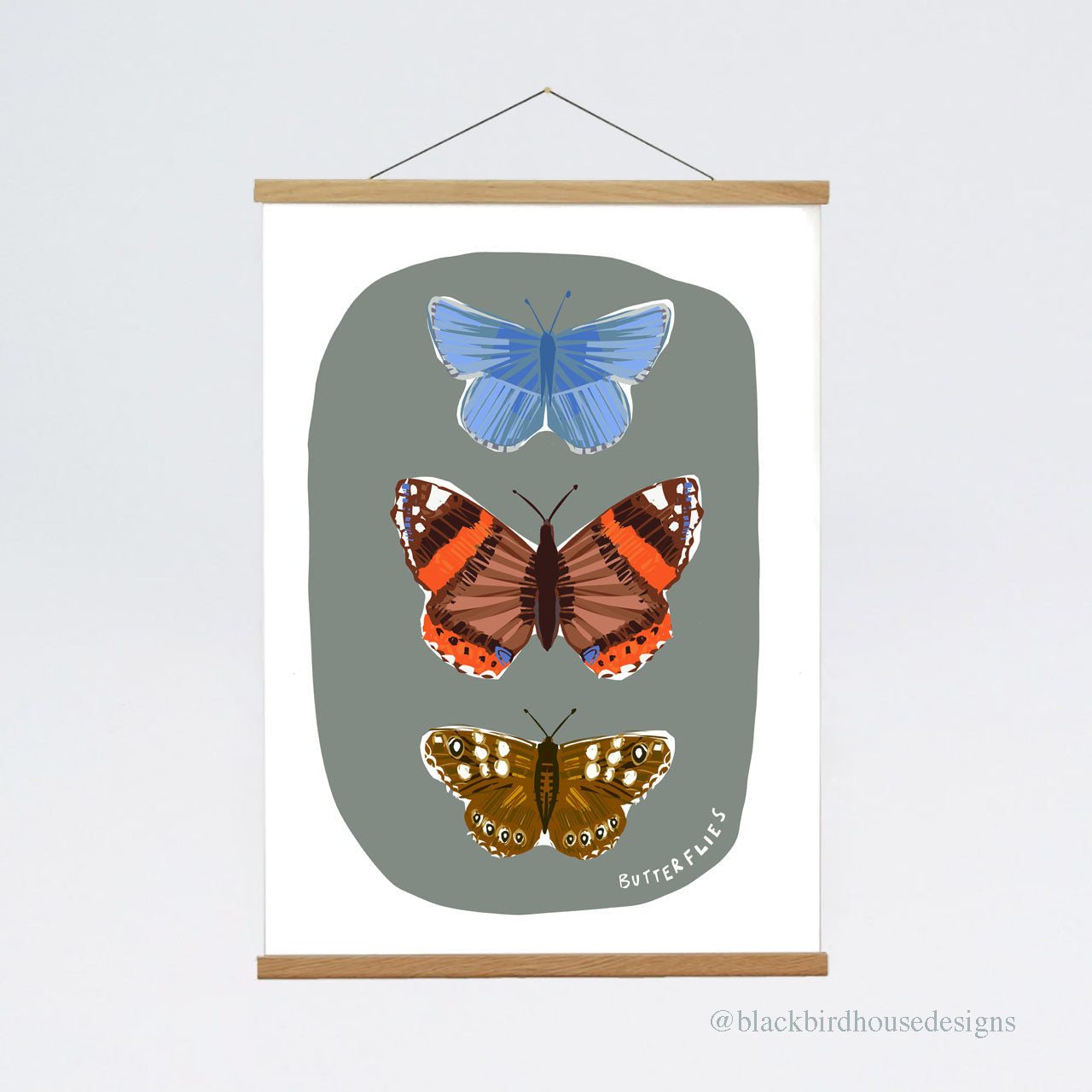 BUTTERFLY A3 Nature Art Print, Nature, Insects, Wall Art, Natural World, Art Print, Nature Poster