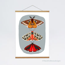 Load image into Gallery viewer, MOTHS Emperor Moth
