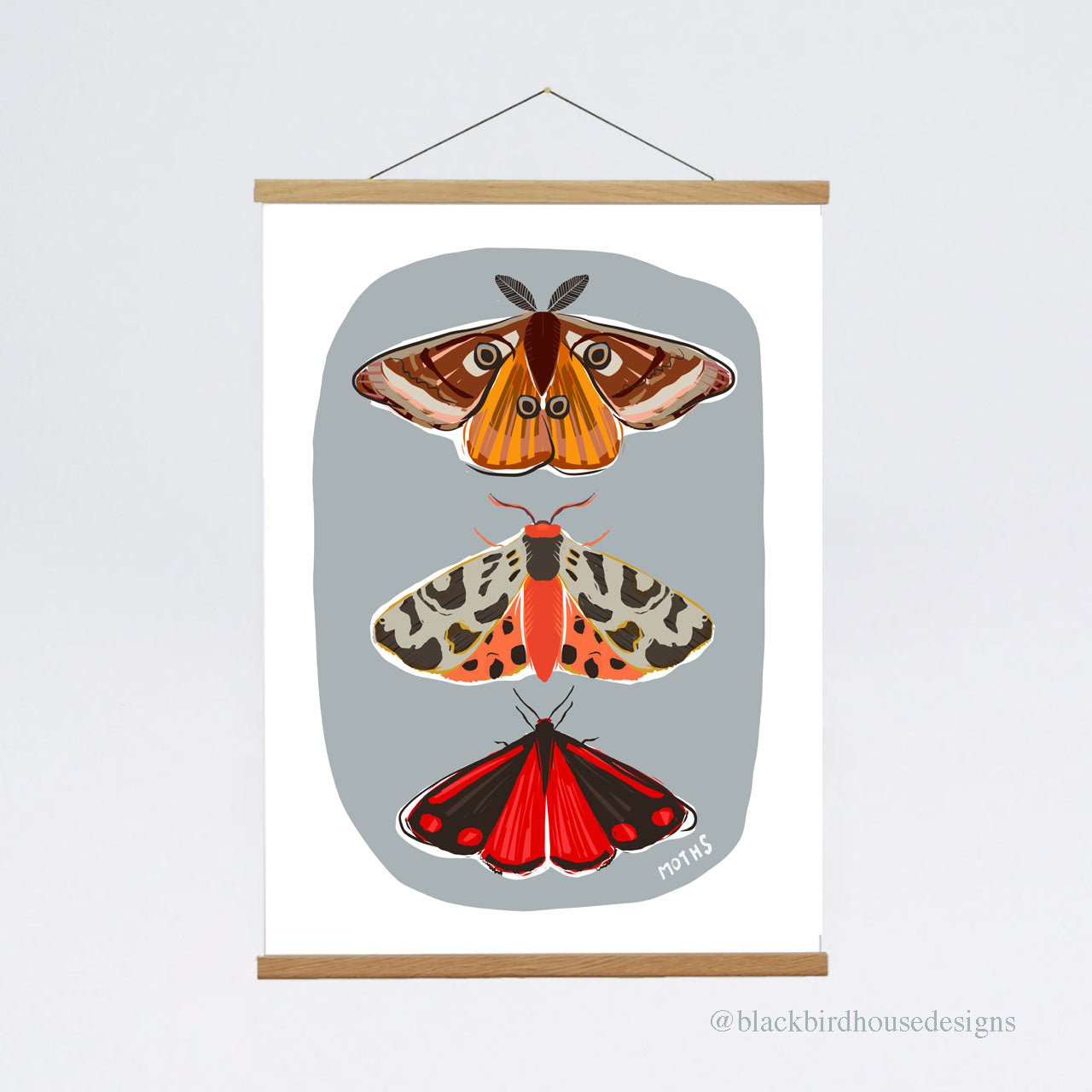 MOTHS Emperor Moth, Tiger Moth, Cinnabar Moth, Nature, Insects, Wall Art, Natural World, Art Print, Nature Poster