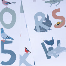 Load image into Gallery viewer, NEW Bird Alphabet Print

